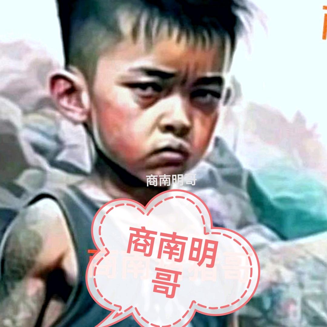 （商南猪猪哥）橱窗有好物