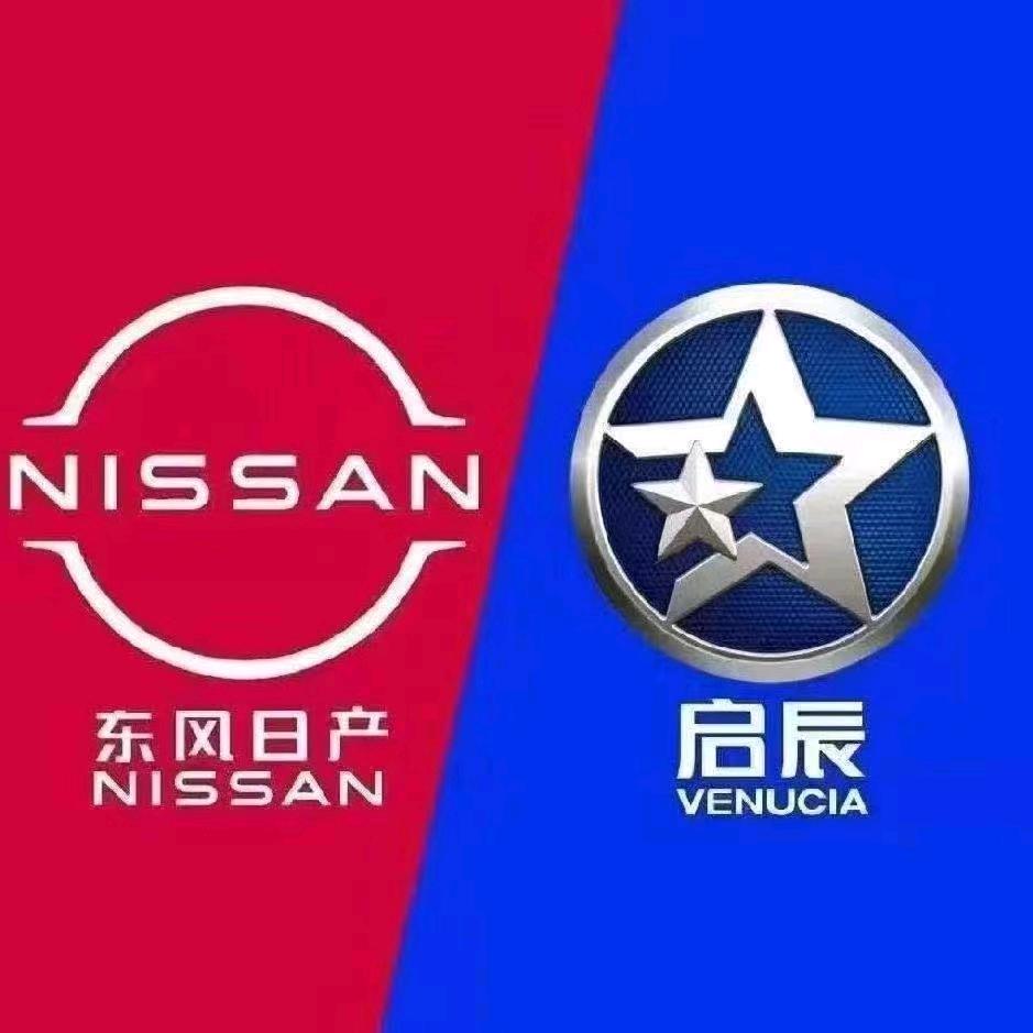 邢台赛龙启辰  木子