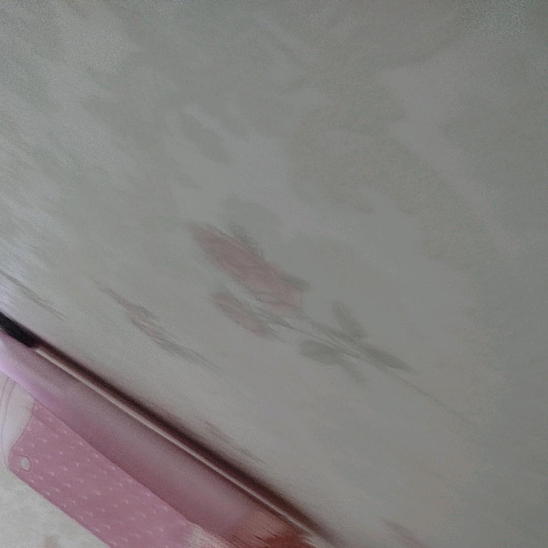 巩志香