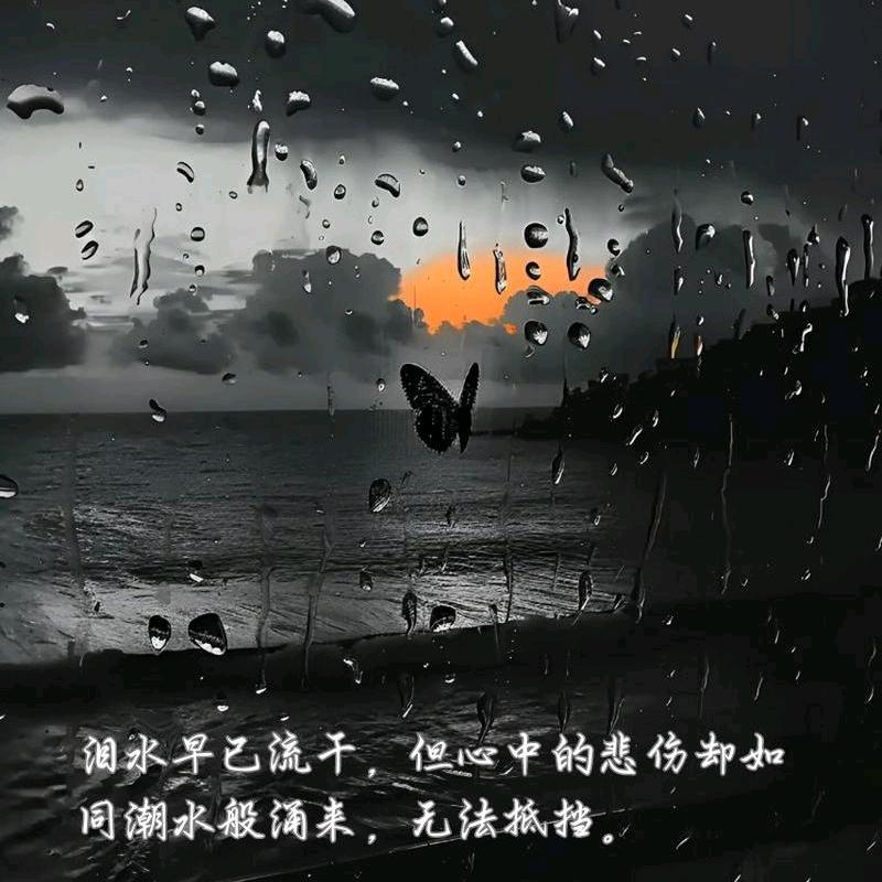 一杯感情
