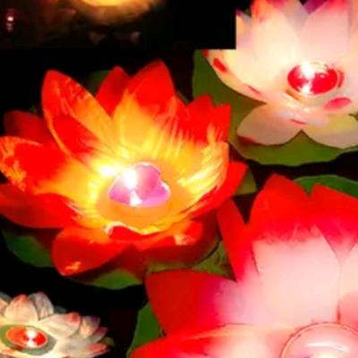 水产养殖李杰