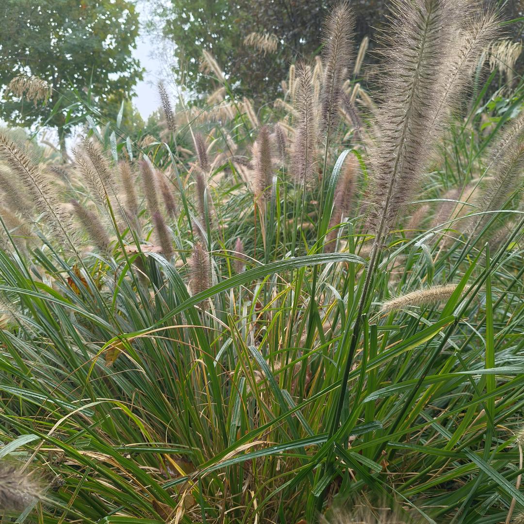 有缘千里来相会。