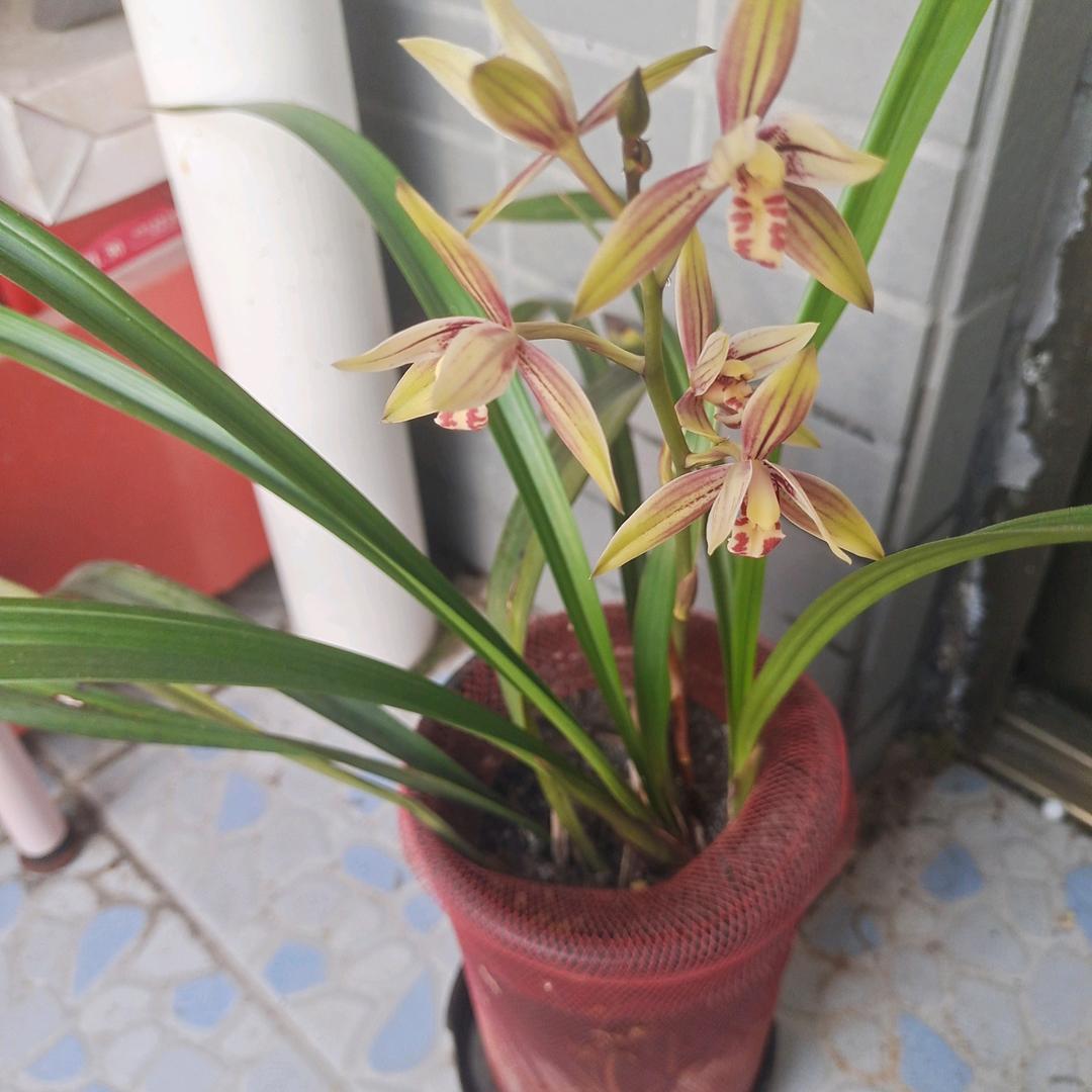 一生只有你