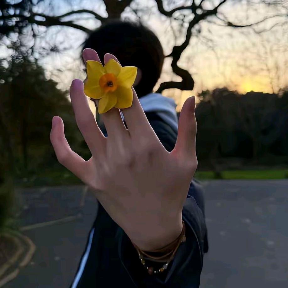 派大星的海洋裤