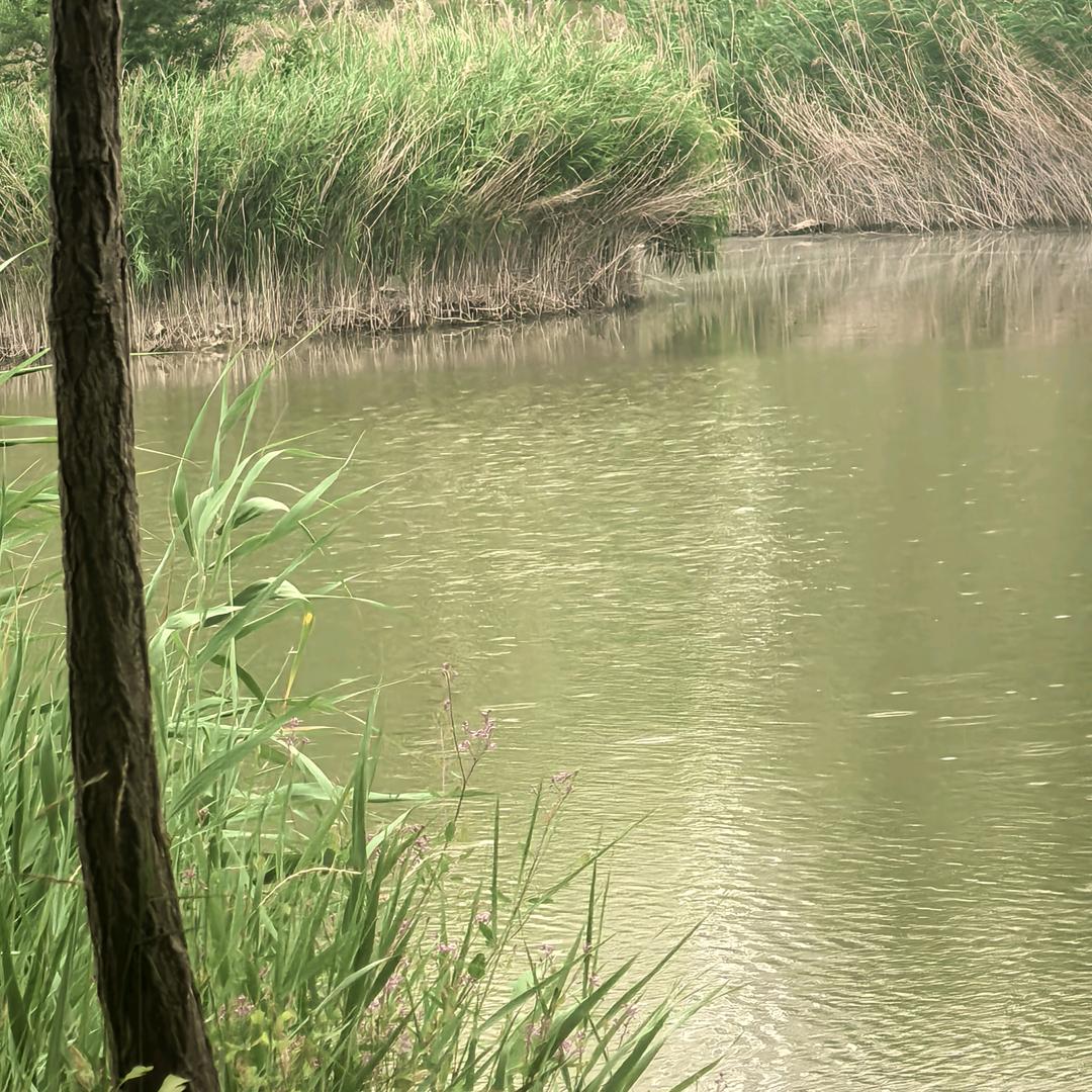 雨