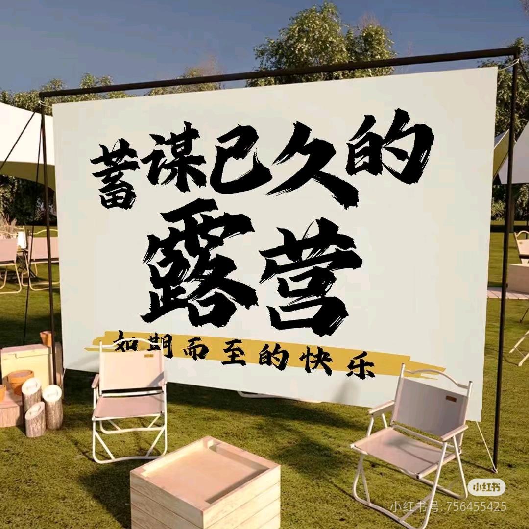 刘涛。