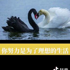 青梅煮酒！