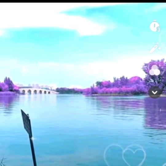 沧海每天上午（10：30）直播