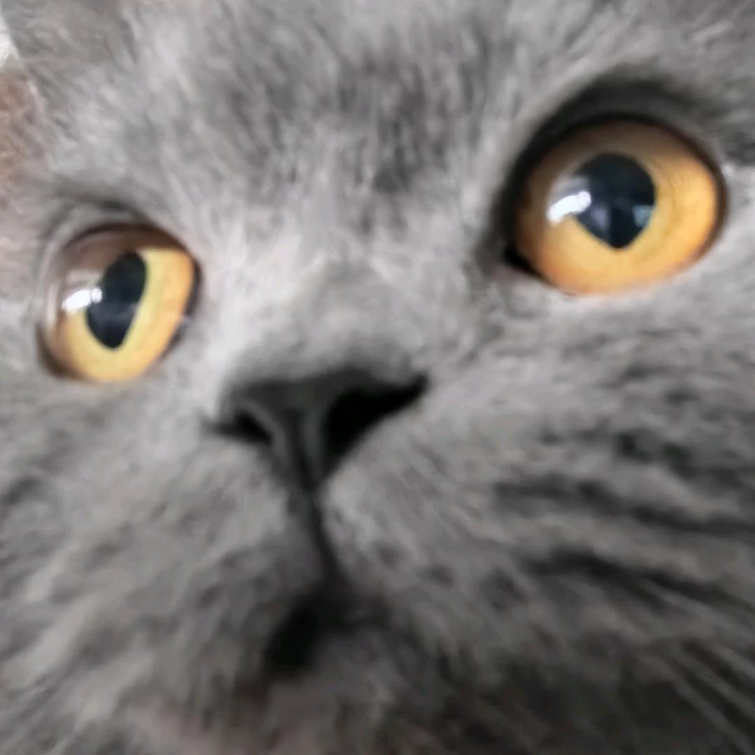 JXJ