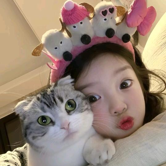 慧啊慧-