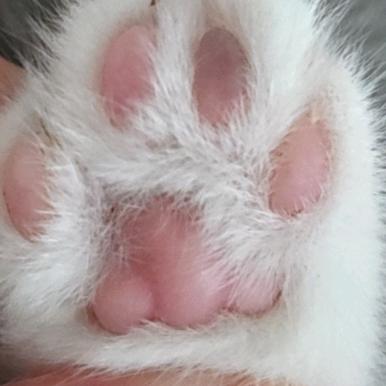 不打腮红只打哈欠🥱