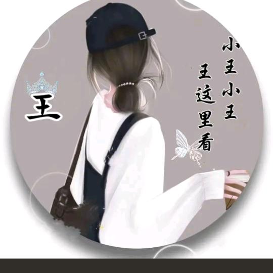 飞月