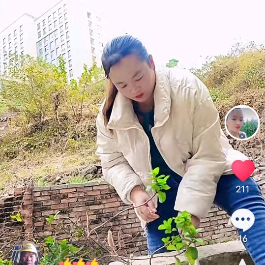 小张妹。