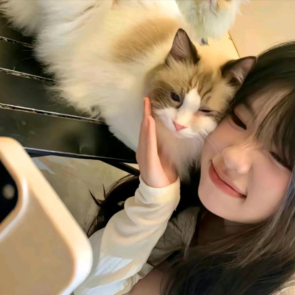汤圆来啦