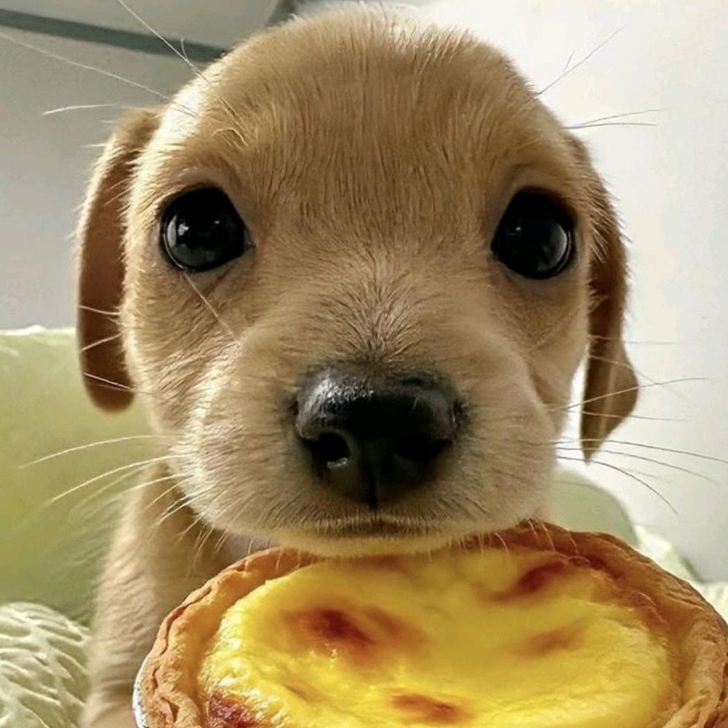 折耳根香菜泡面