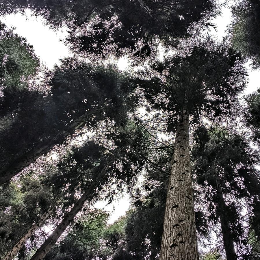 都江堰装修设计