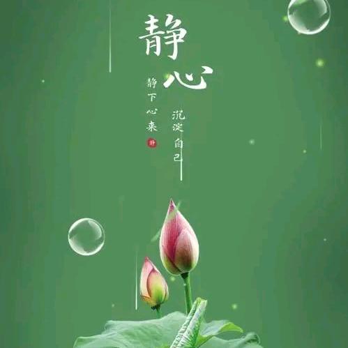 静心看世界