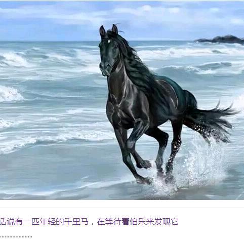 千里伯乐前程似锦