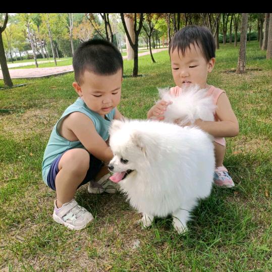 玥星👉龙凤俩宝