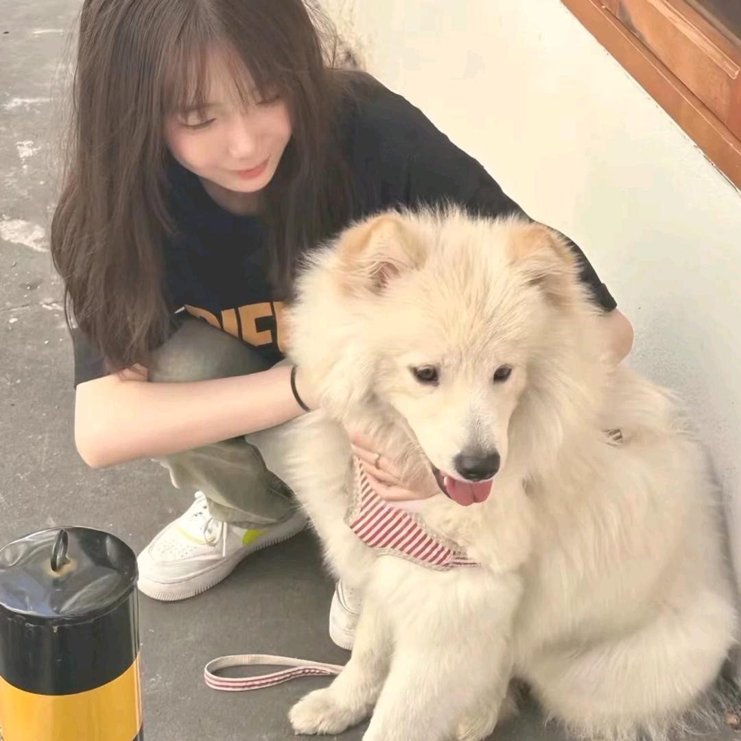怡子