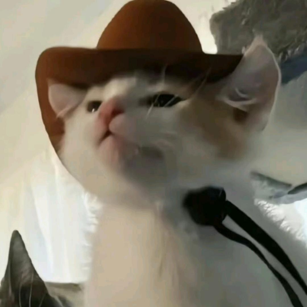 😎