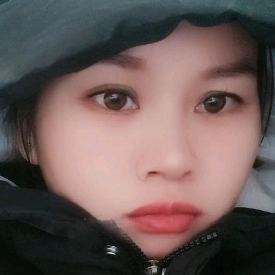 小海燕