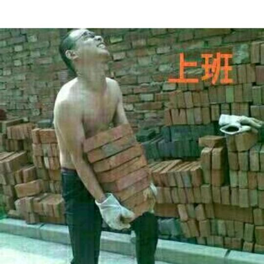 专业搬砖