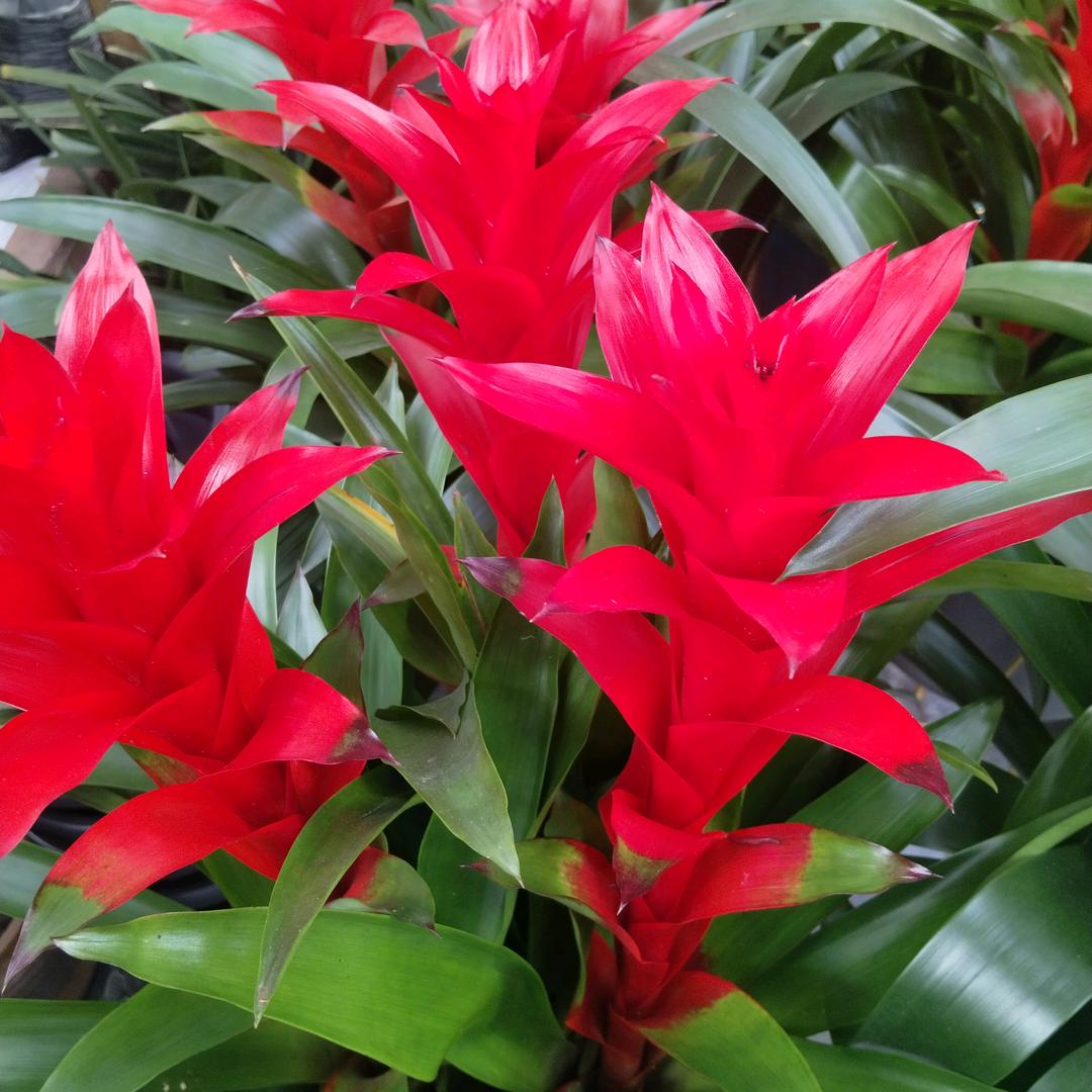 健康快乐每一天