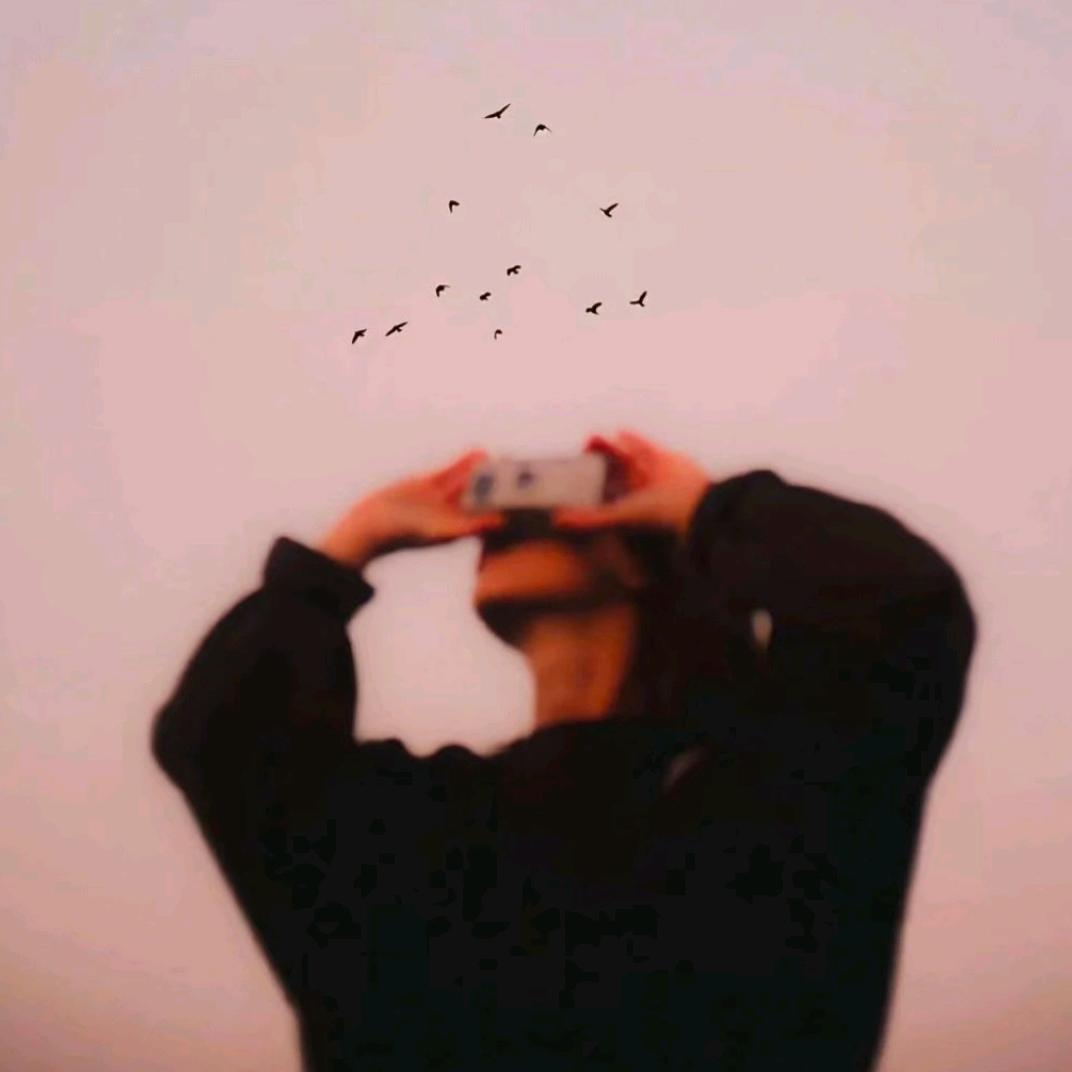 🌈椰子爱吃灰