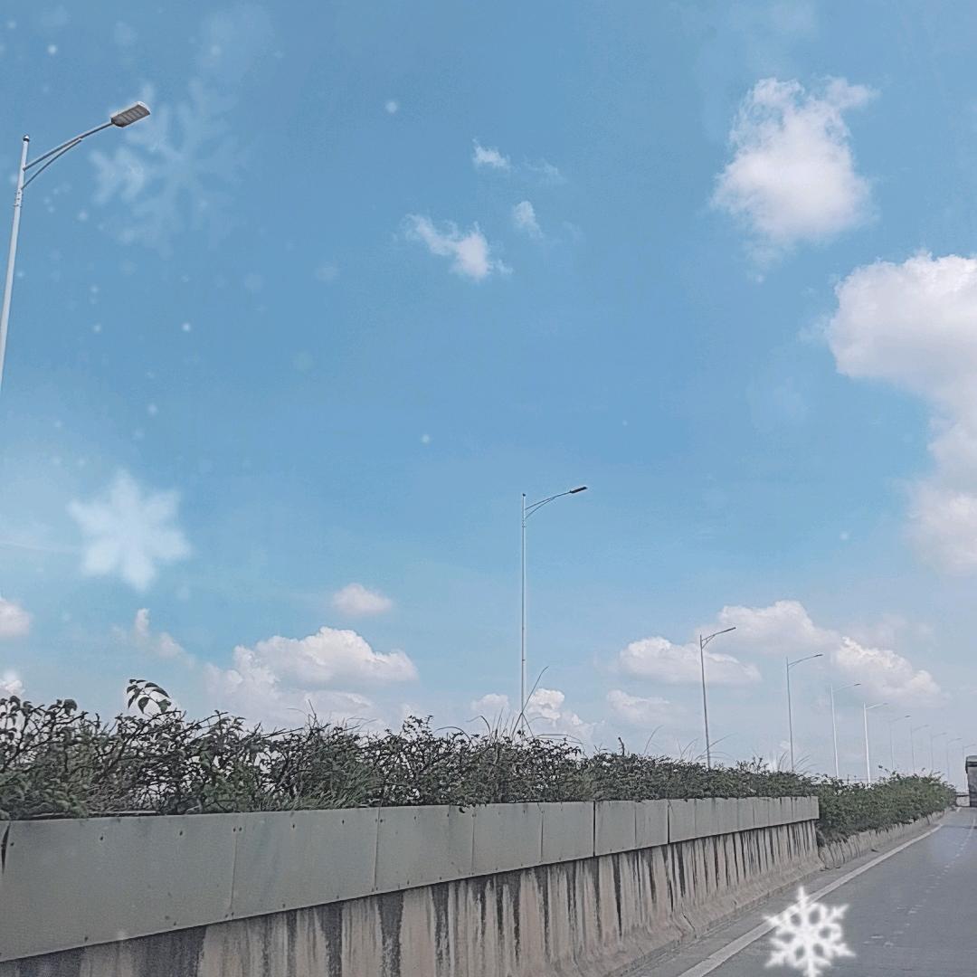 小鸟依人
