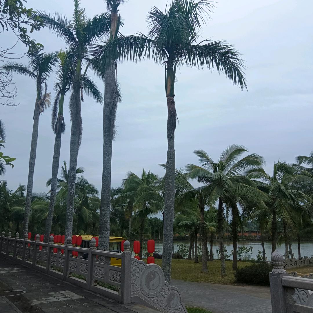 宁国景程旅行社飞哥