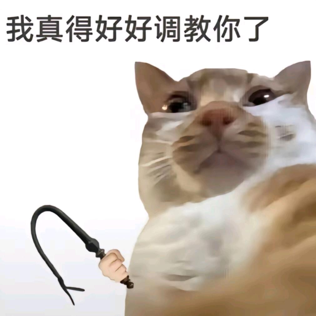派小星