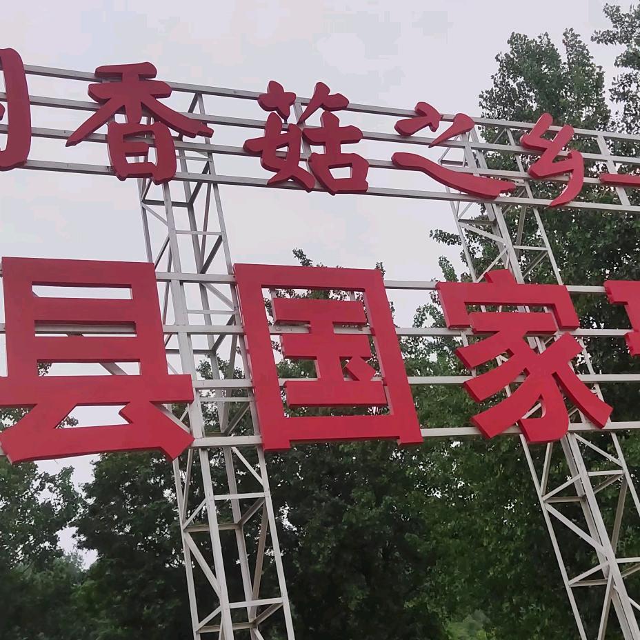 龙哥