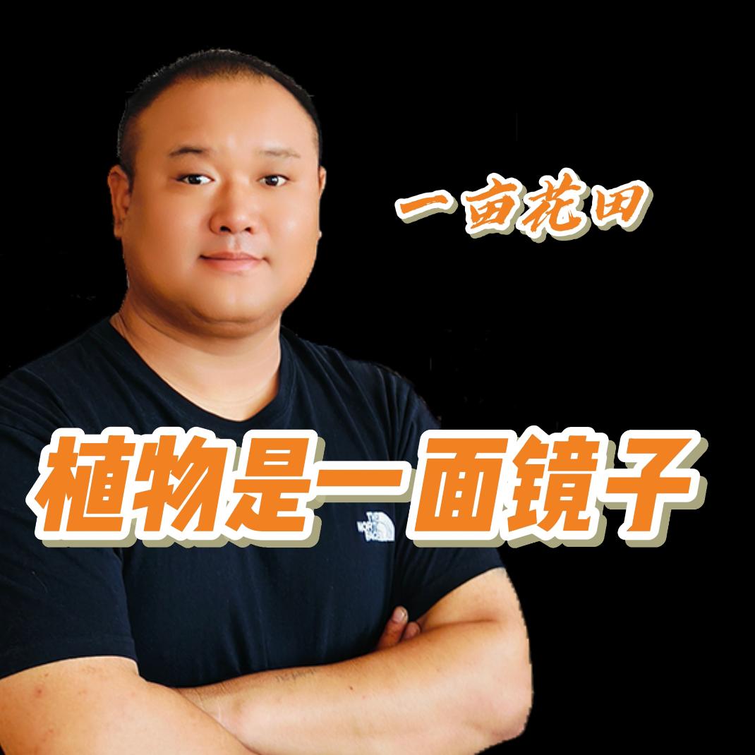 一亩花田香而雅