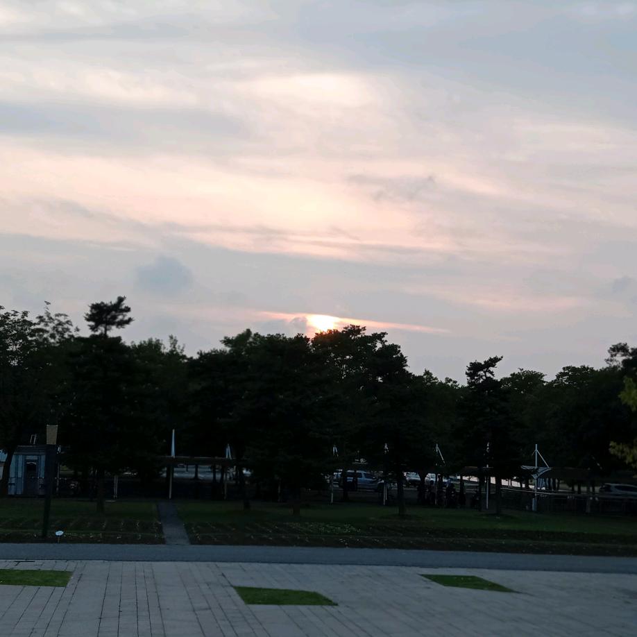 方向大于努力，自律才是根基