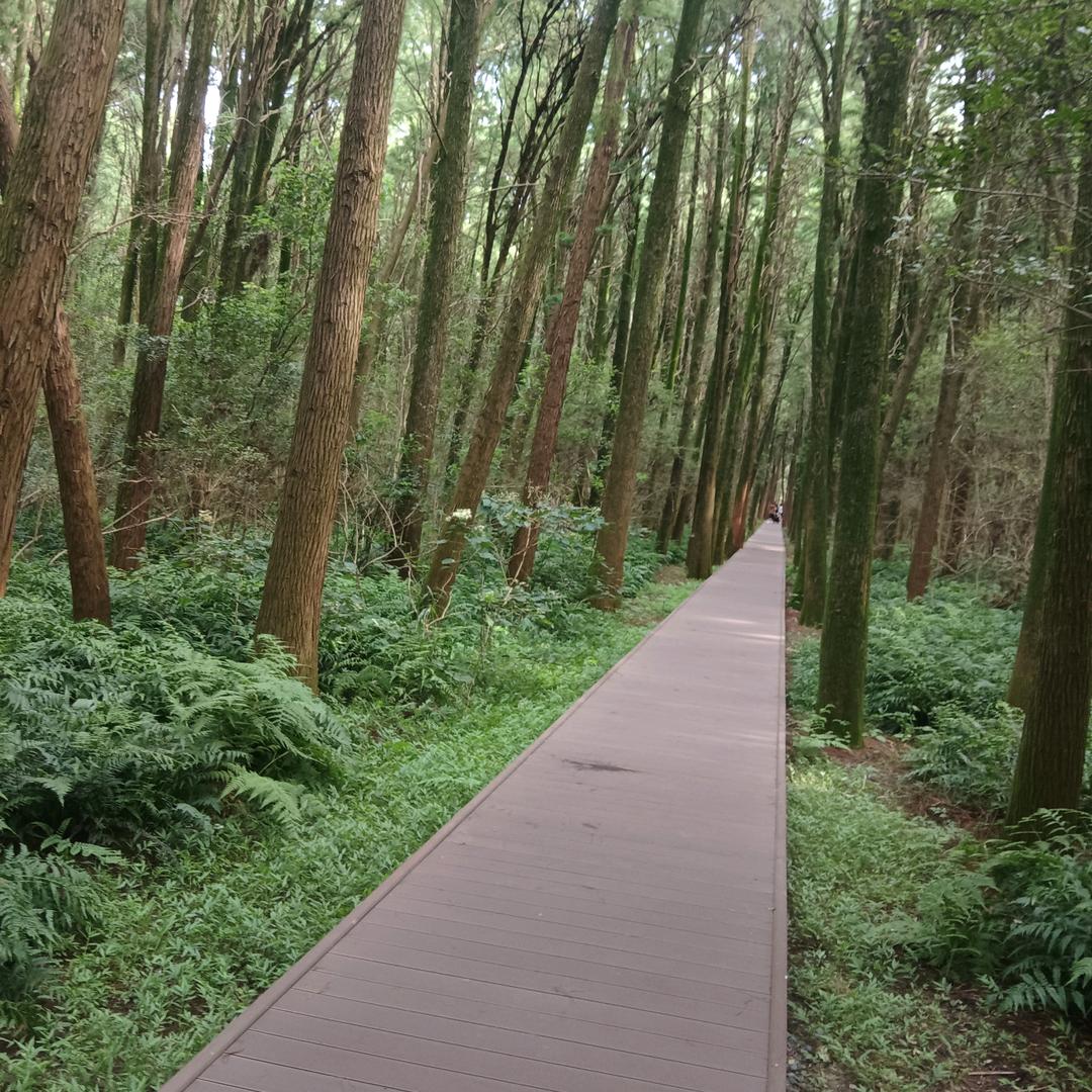 大荔涛哥