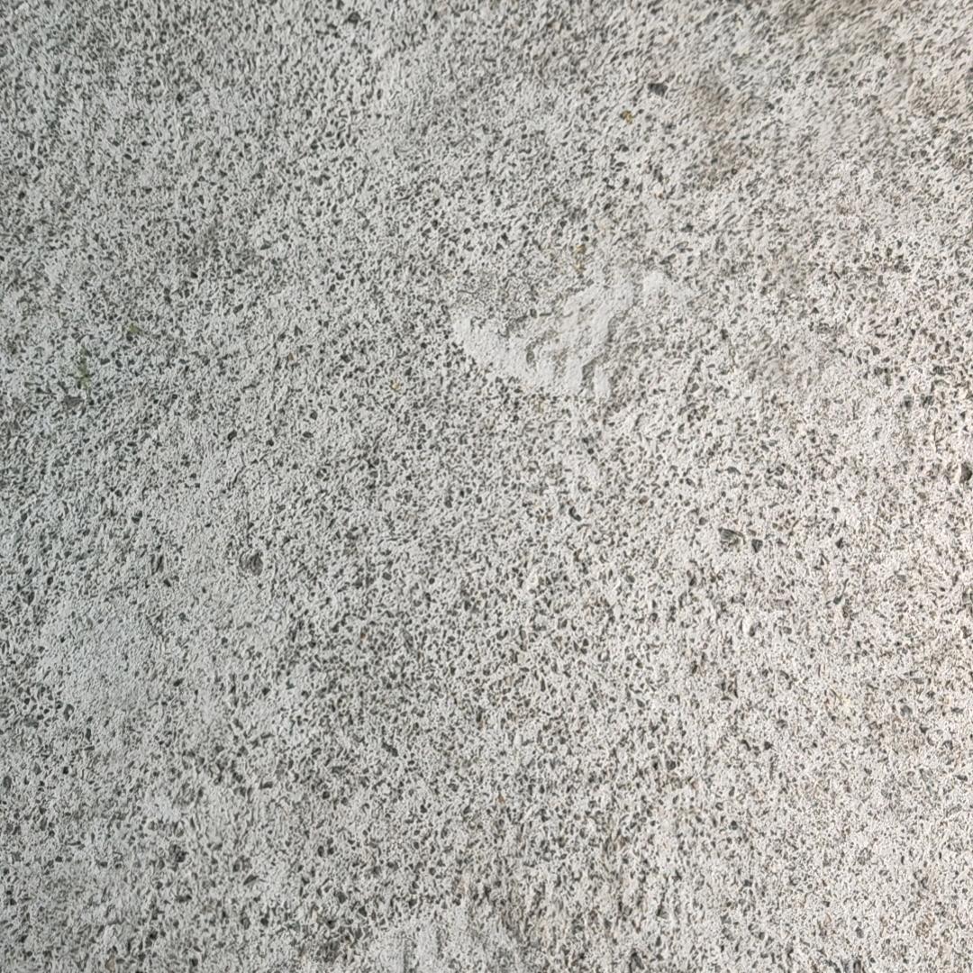 施智良