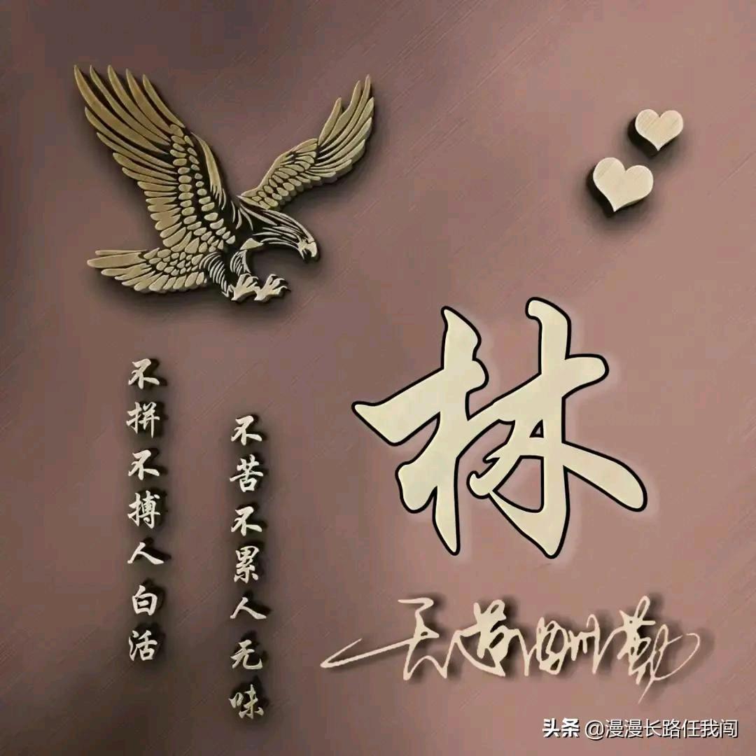 ᭄林先生ꦿᩚ࿐