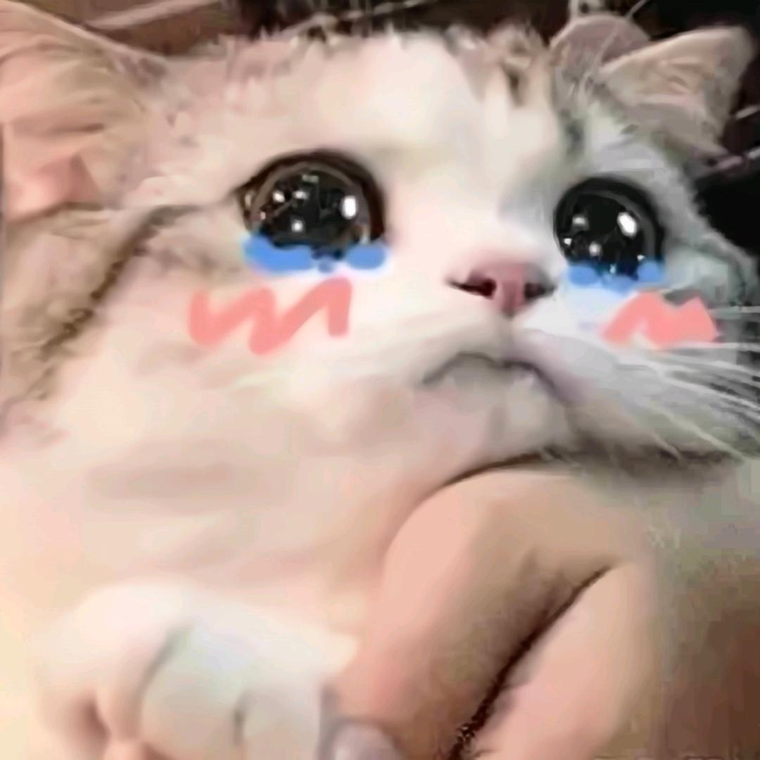 小苦(哭)瓜.