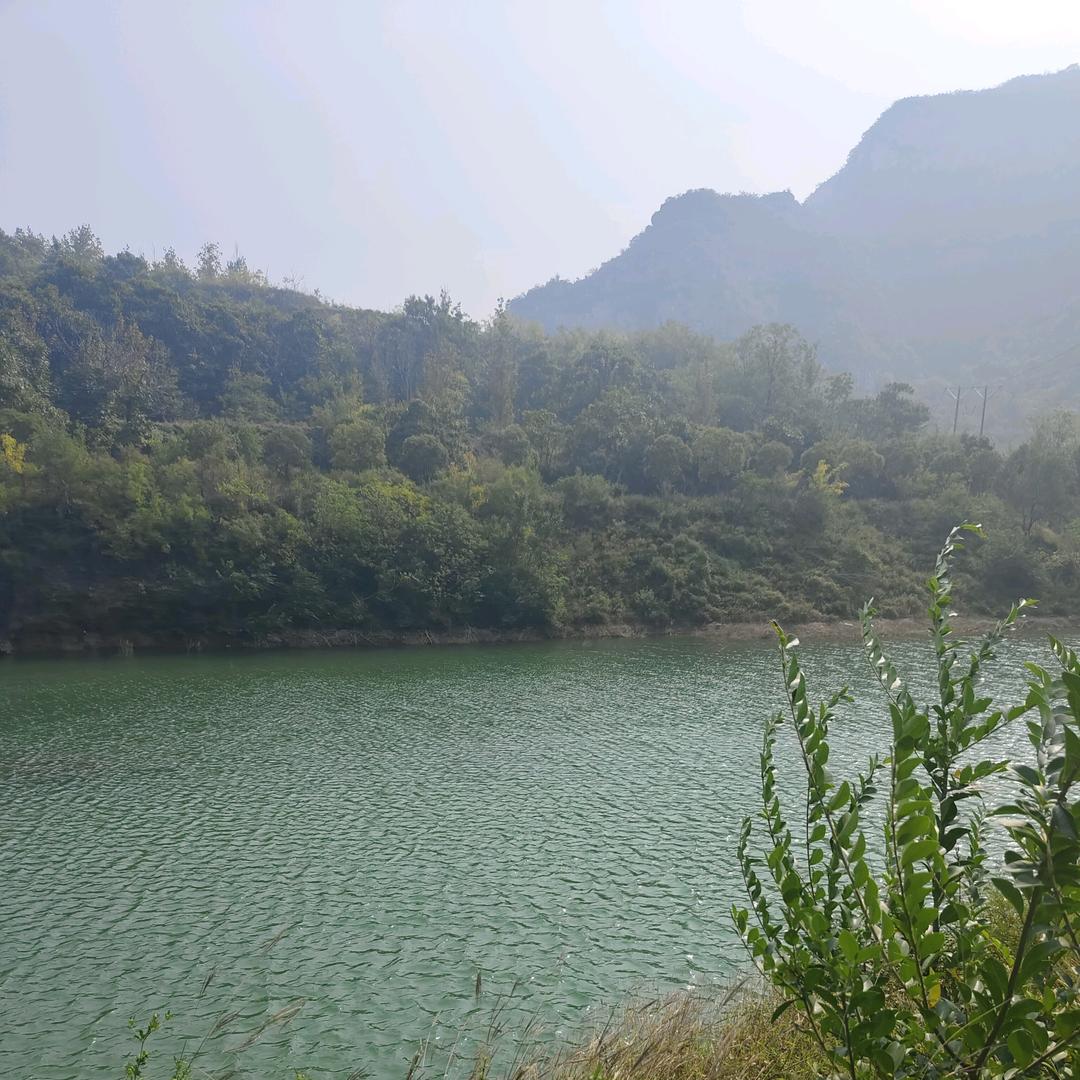 东山在起