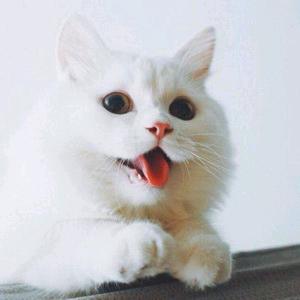 退休倒计时