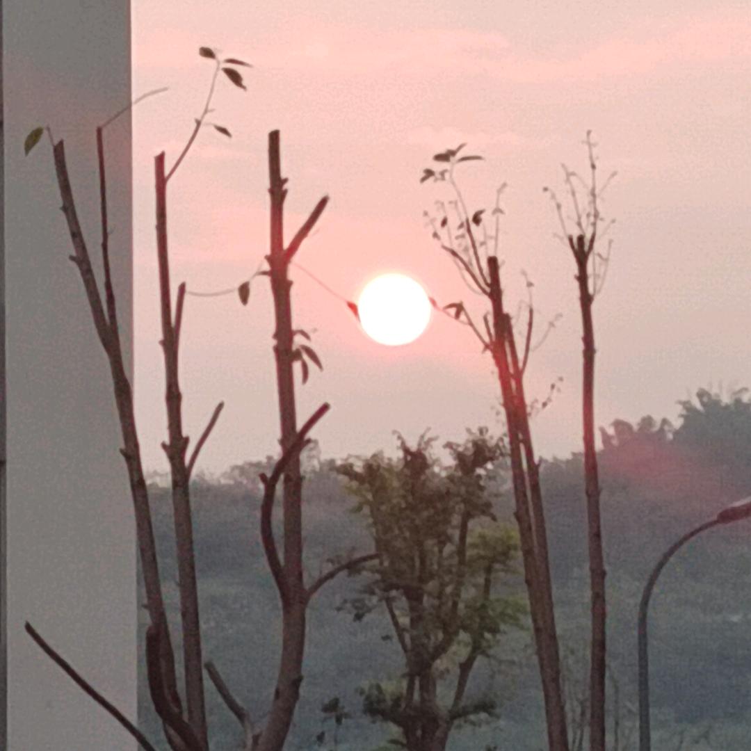 @鲸落