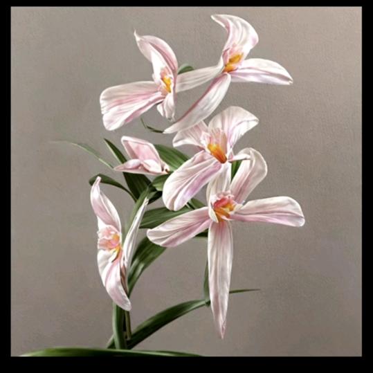 萍水相逢，缘分天定（拒私聊）