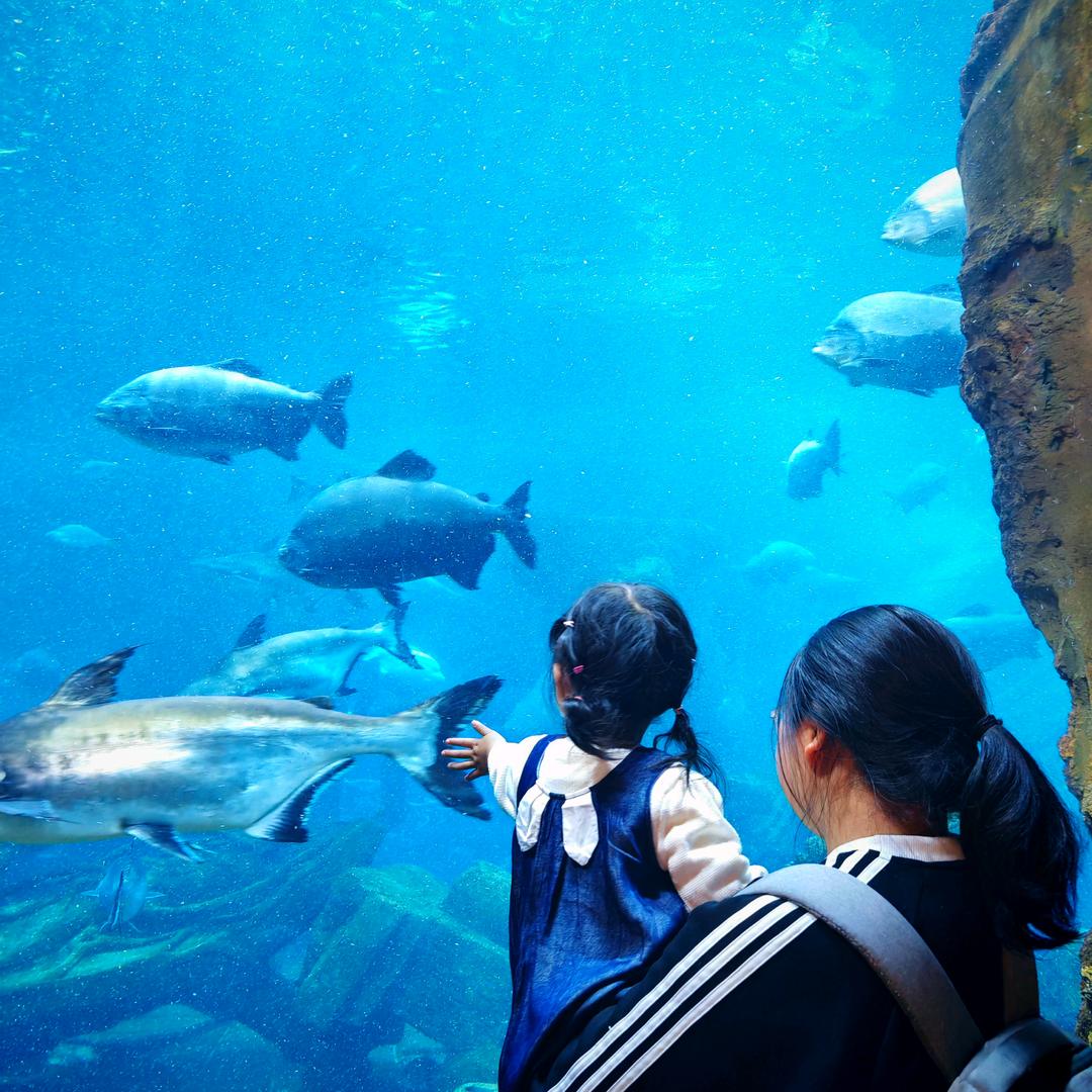 小王小王旺旺旺