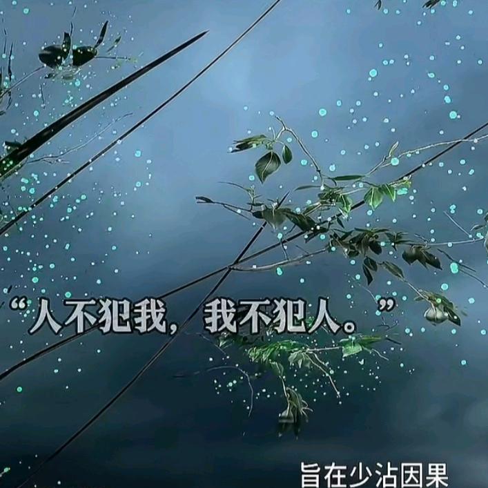 一叶