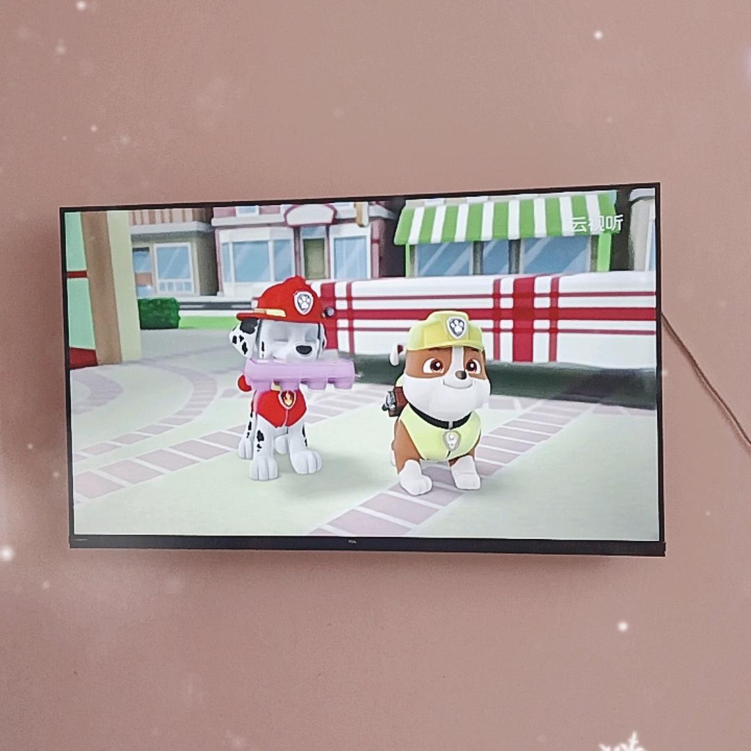 小企鹅，小名林儿