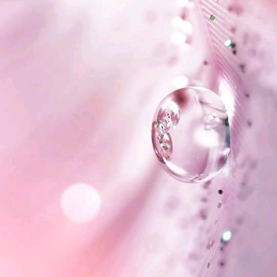 悠闲时光