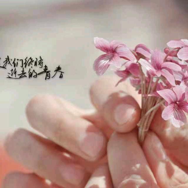 宁锦玉石