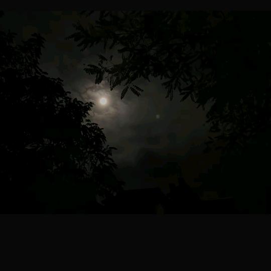 ♠️夜常梦多🌙