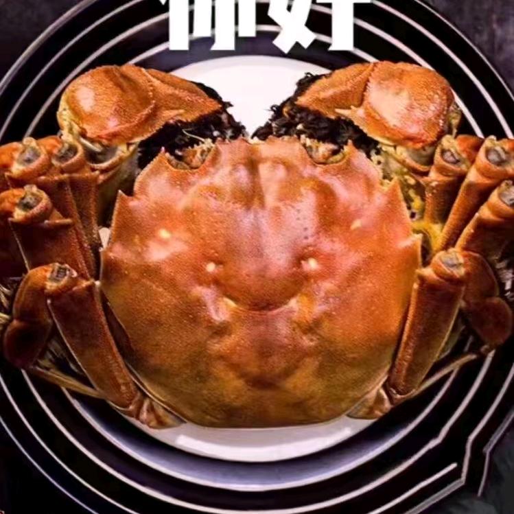 共创伙伴
